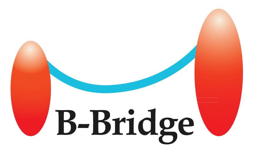 B-Bridge International Inc.