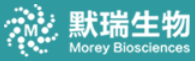Morey Biosciences Inc.