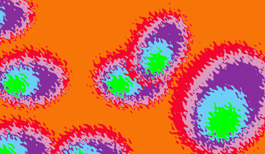 Secondary Antibodies Jackson ImmunoResearch