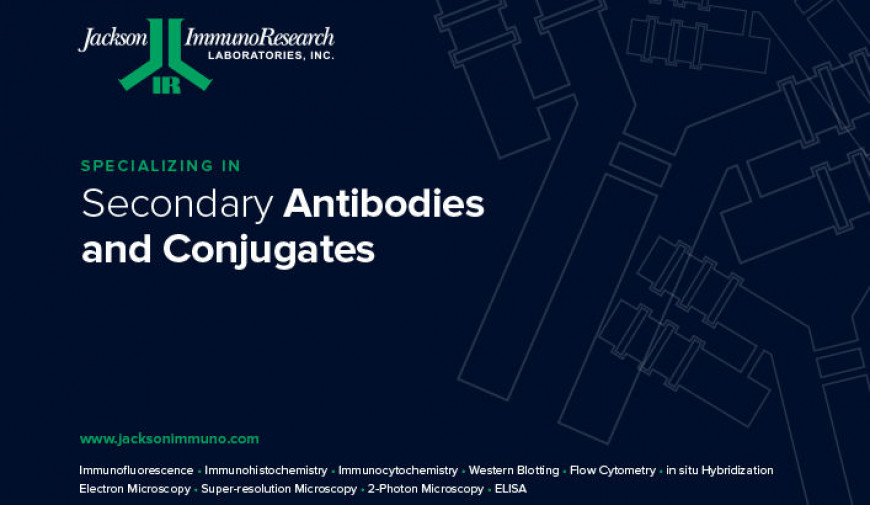 Secondary Antibodies Jackson ImmunoResearch