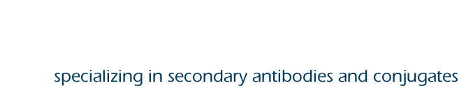 specializing in secondary antibodies and conjugates
