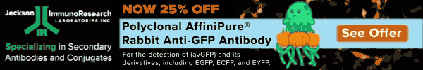 25% off Polyclonal AffiniPure® Rabbit Anti-GFP Antibody