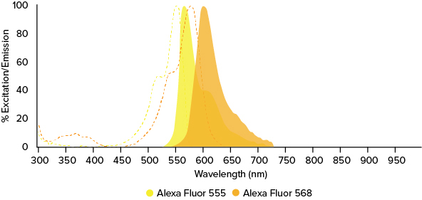 Excitation and Emission spectra for Alexa Fluor® 555 and 568