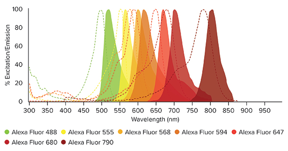 Excitation and emission spectra for Alexa Fluor® dyes available conjugated to Jackson ImmunoResearch products