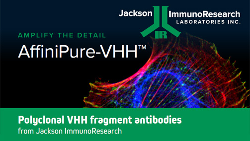 Thumbnail Preview of Introduction to AffiniPure-VHH™