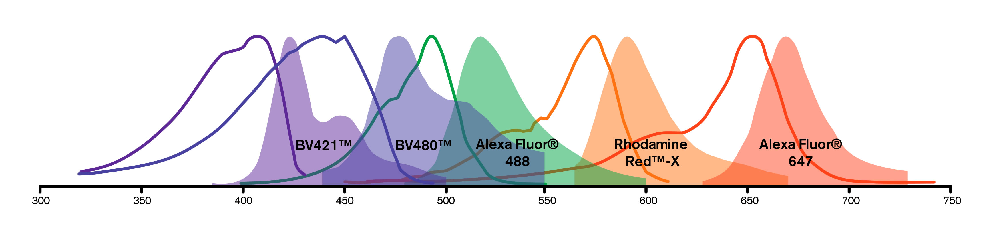 BV Dye Spectra