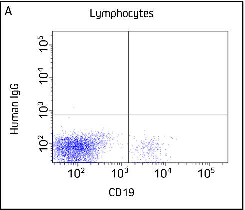 Flow Cytometry Detection of VHH Control A