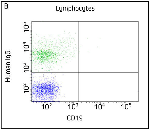 Flow Cytometry Detection of VHH Control B