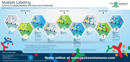 Multiple Labeling Poster