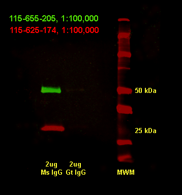 Multiplex NIR detection of multiple protein targets