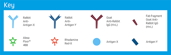 Example A: Key of Elements.