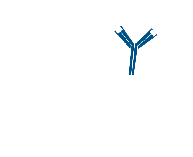 Use of conjugated Fab fragments for labeling and blocking: step three.