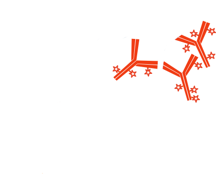 Use of unconjugated Fab fragments to cover the first primary antibody, presenting it as a different species: step five.