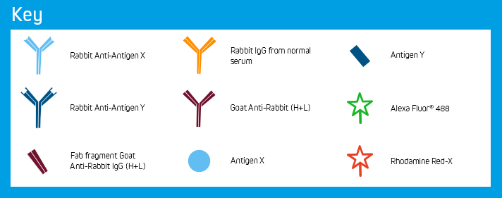 Example C: Key of Elements.