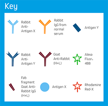 Example C: Key of Elements.