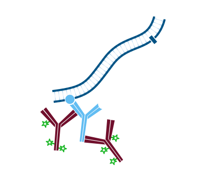 Use of unconjugated Fab fragments for blocking after the first secondary antibody step: step two.