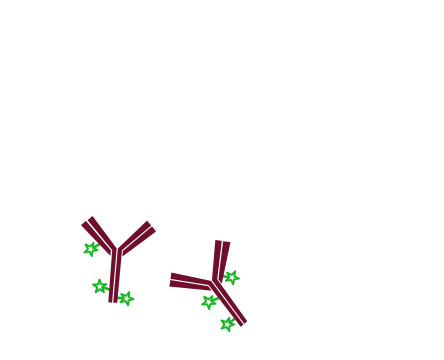 Use of unconjugated Fab fragments for blocking after the first secondary antibody step: step two.