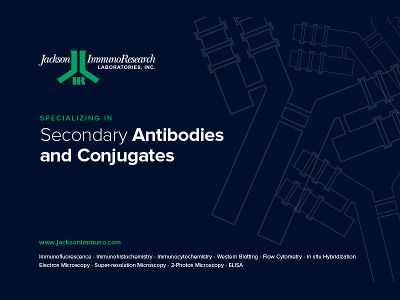Secondary Antibodies Catalog