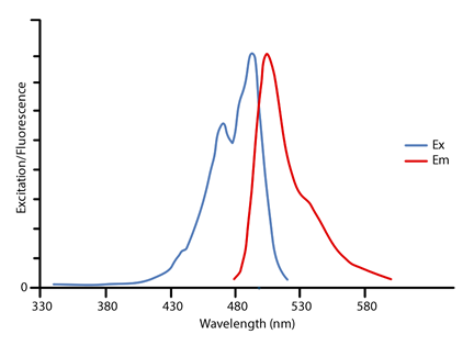 cy2 emission excitation cyanine spectra peak