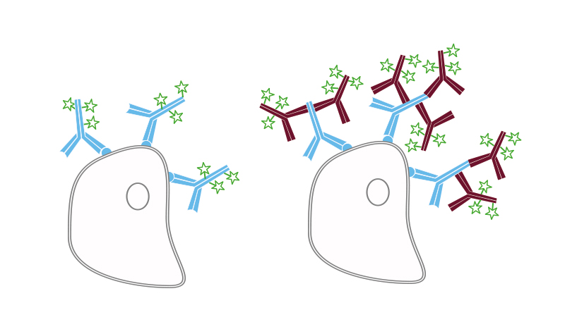 flow cytometry secondary antibodies jackson immunoresearch