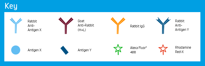 Example E: Key of Elements.