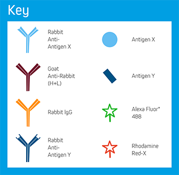 Example E: Key of Elements.