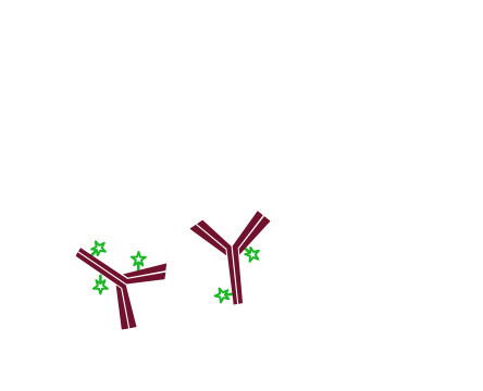 Detection of one unlabeled and one or more labeled primary antibodies without the use of Fab fragments: step two.