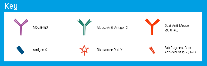 Endogenous Blocking: Key of Elements.