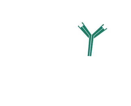 Use of unconjugated Fab fragments to block endogenous immunoglobulins and avoid off target signal: step three.