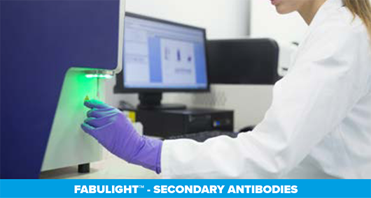 Thumbnail Preview of FabuLight™ - Label Primary Antibodies in Solution