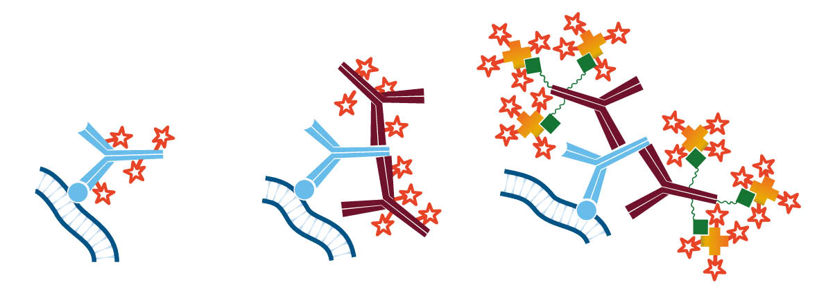 Depiction of the 3 detection methods for Immunohistochemistry