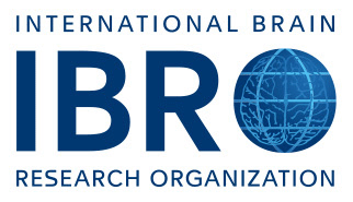 IBRO Logo