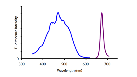 Thumbnail Preview of PerCP Conjugates For Flow Cytometry