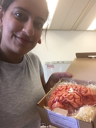 Female scientist holding chocolate brain