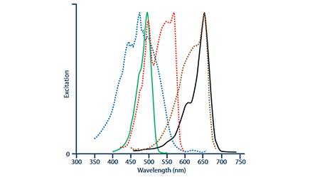 Thumbnail Preview of Secondary Antibody Conjugates for Flow Cytometry