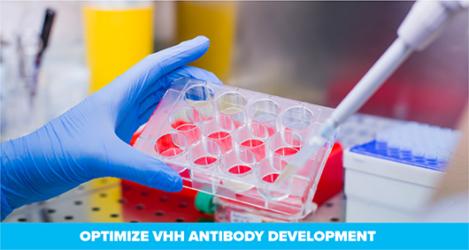 Thumbnail Preview of Secondary Antibodies for VHH Discovery 6pp
