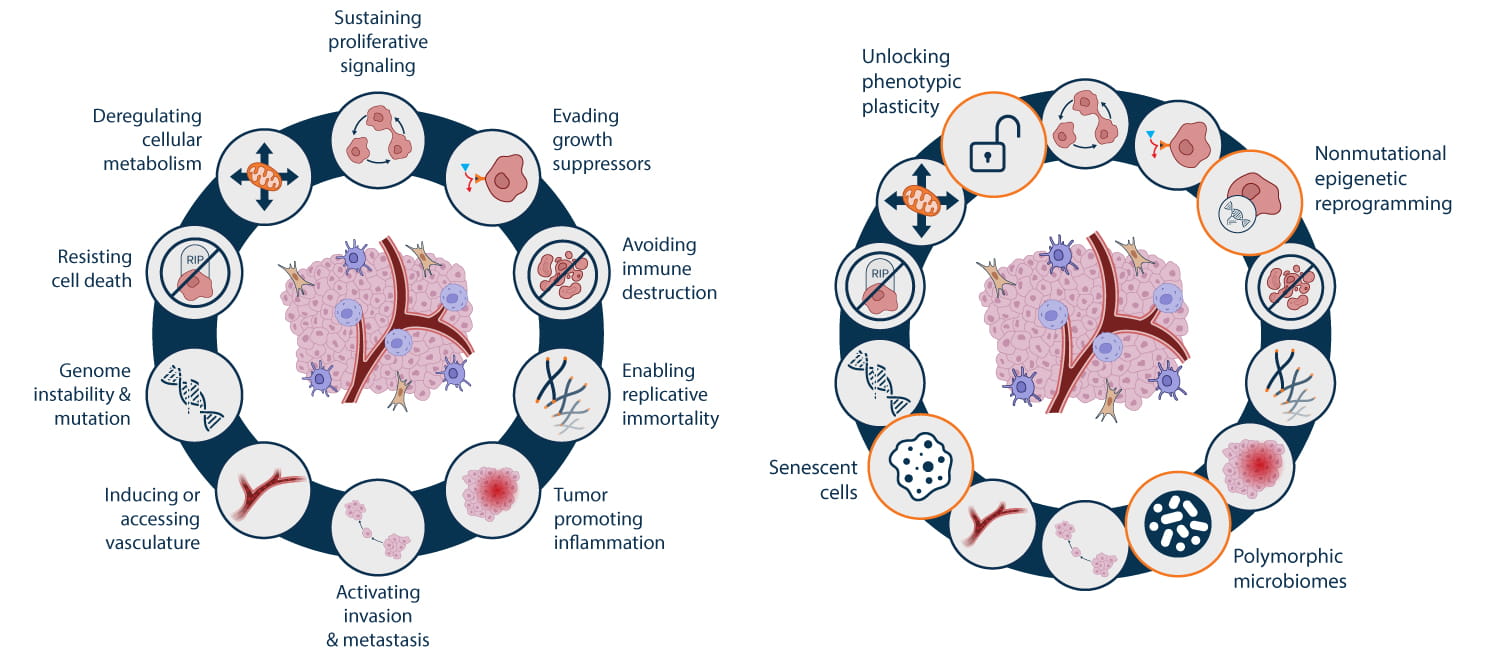 Current and emerging hallmarks of cancer