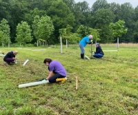 Tree planting with QA and R&D