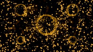 Spatial biology