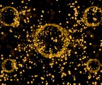 Selecting the Right Fluorescently-Labeled Secondary Antibody for Spatial Proteomics