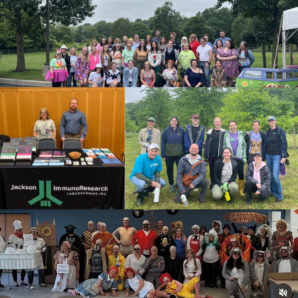 Take a look at JIR's 2025