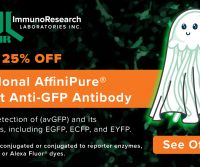 Get 25% off AffiniPure®Rabbit Anti-GFP Antibodies