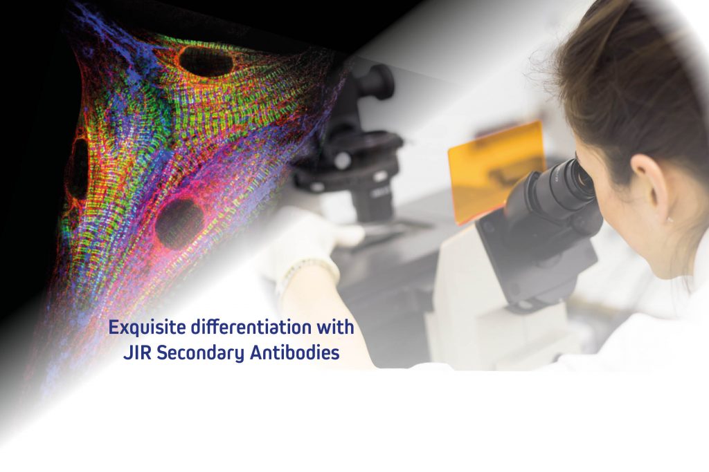 antibody cross reactivity antibody cross reactivity