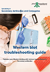 Western blot troubleshooting guide!