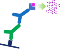 Colorimetric Western blotting