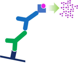 Colrimetric Western Blot