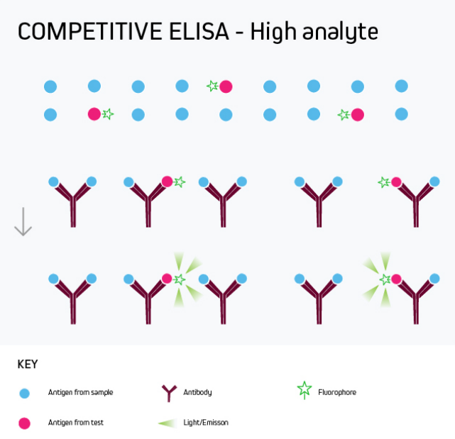 Competitive ELISA - High Analyte