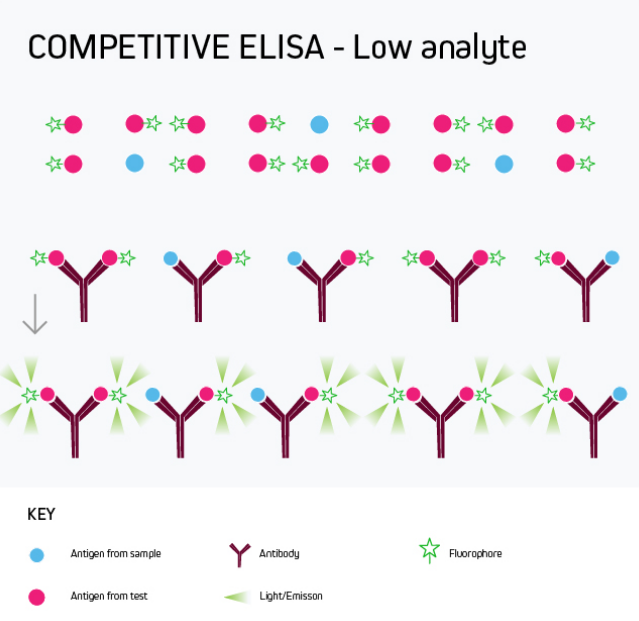 Competitive ELISA - Low Analyte