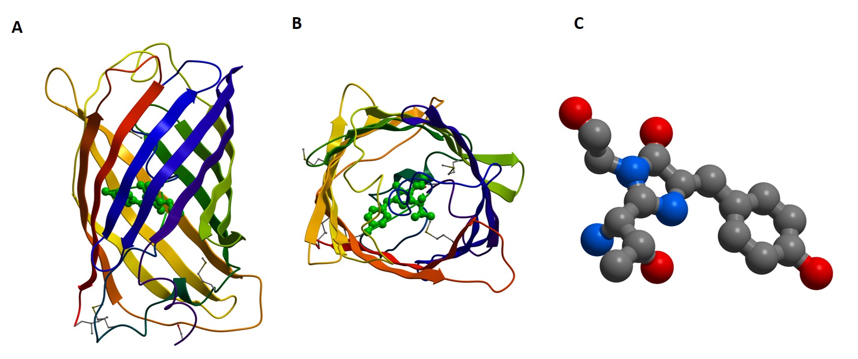 1EMA structure of GFP with Chromophore