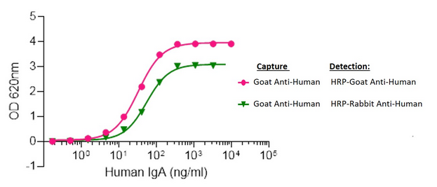 Human IgA capture and detection using Goat vs Rabbit host Polyclonal Secondary Antibodies